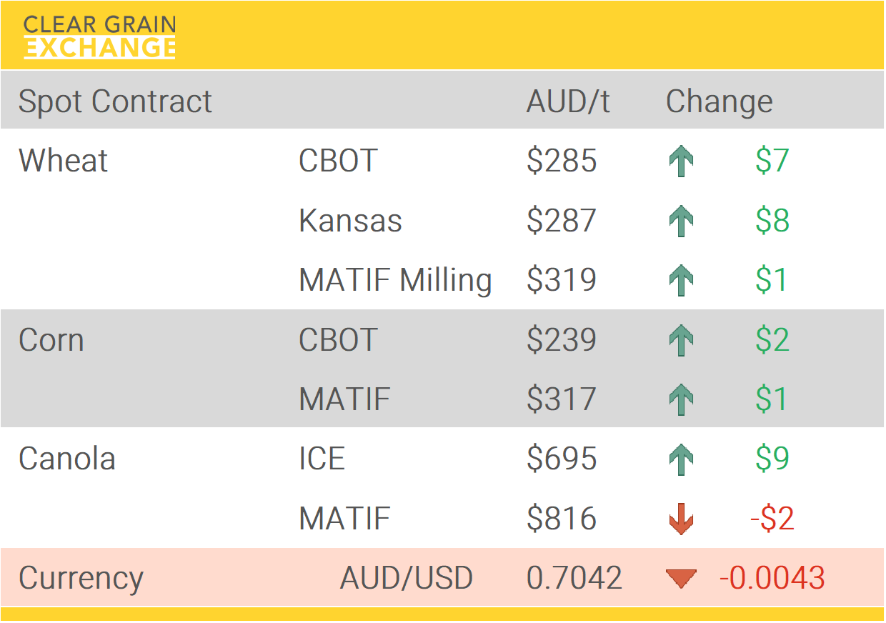 Grain Report Thursday- 19th February