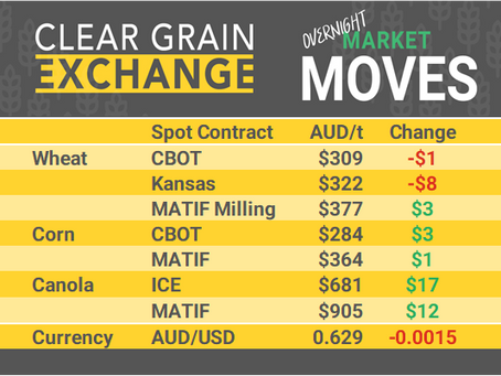Grain Report Monday- 31st March