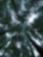 513907363_24585425341044336_8028754490965364771_n.jpg
