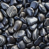 AdobeStock_851030509.jpeg