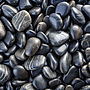 AdobeStock_851030509.jpeg