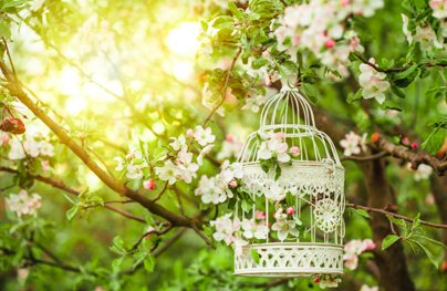 GARDEN PARTY
