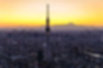 Tokyo Skyline
