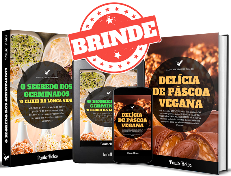 BRINDES-ALQUIMIA-VEGANA.png