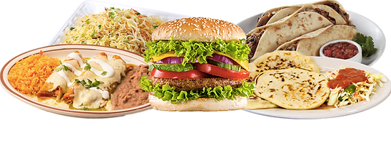 vegan-food-04.png
