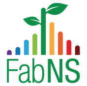 FabNS-color-fundo-transparente.png