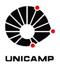 unicamp.gif