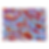 Untitled design(34)