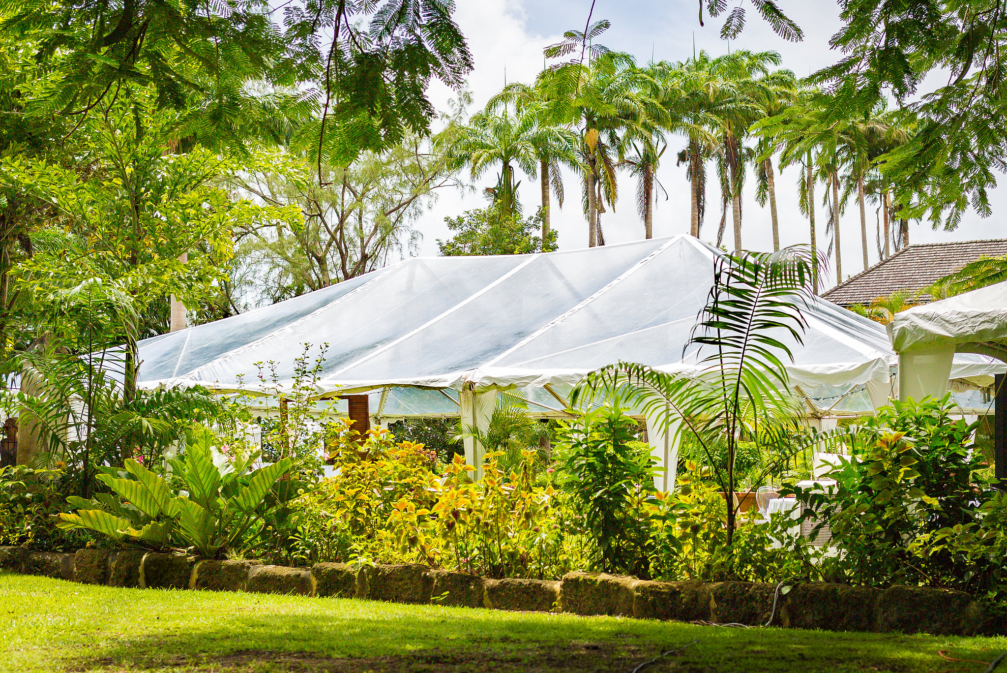 Tents&Accessories Barbados Wedding Package Artathomp Event Rentals