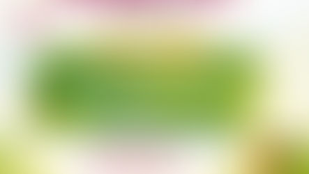 🌸🎺 Frühlingserwachen mit Blasmusik 🎶🌼