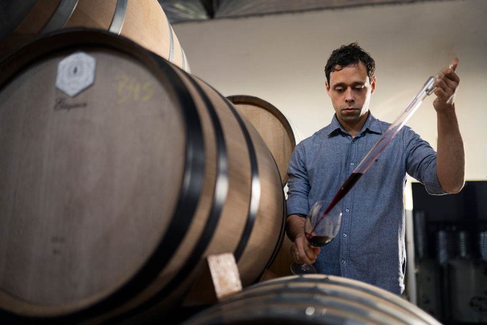 DSC08347 copiarcont.JPG