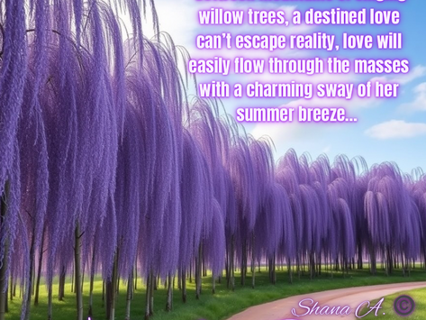 Summer Breeze