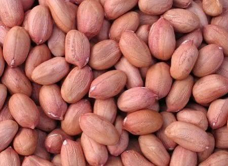 Raw Groundnut 