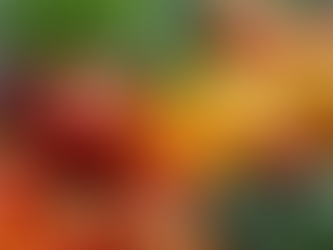 Why DAF Wholesome Foods is Your Healthy Choice