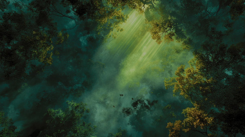 Berowen Background.png