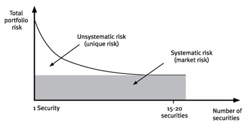 chart examining portfolio risk