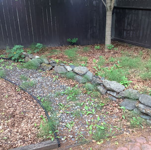 From Overgrown to Refreshed: A Complete Landscape Transformation