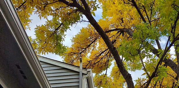 Fall gutters.jpg