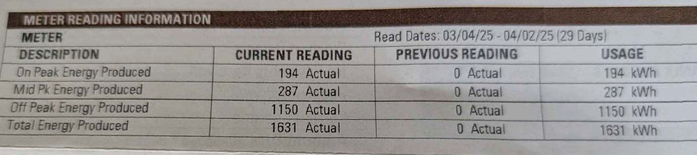 Xcel Energy statement showing that in April of 2025 the panels produced 1631 KWH and in less than a month there was a 18% increase just by cleaning the panels.