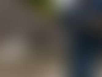 Avoid the damage caused by pressure washing — professional hand gutter cleaning keeps your system safe and effective.