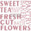 Μικρογραφία: STAMP Sweet Tea