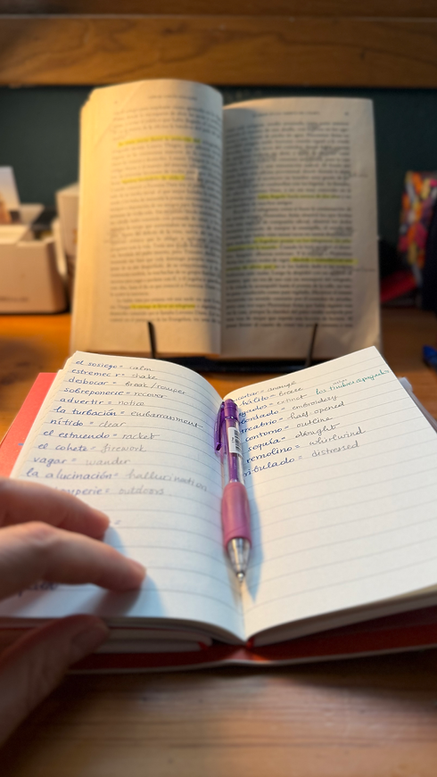 Reading and taking notes on my desk summer afternoon54.heic