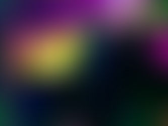 LIVE FROM THE PIT: Gender Warfare, Nailbreaker, Mandibles and Retina