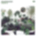 REVIEW: Wildernesses - Growth