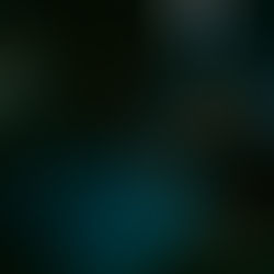 LIVE FROM THE PIT: Chubby and The Gang and Jade Hairpins