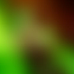 LIVE FROM THE PIT: Cleopatrick and Projector