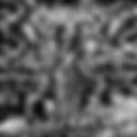 REVIEW: Övervåld - Vigarv