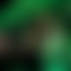 LIVE FROM THE PIT: Resolve, Windwaker, Tropic Gold and Ashen