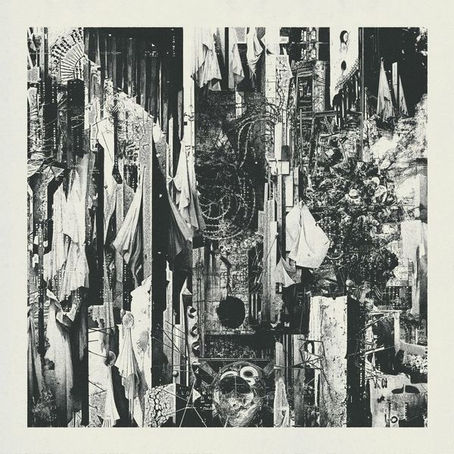 REVIEW: Wren - Black Rain Falls