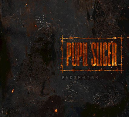 REVIEW: Pupil Slicer - Fleshwork