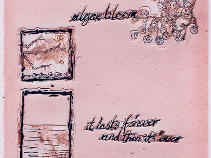 REVIEW: Algae Bloom - …it lasts forever, and then it’s over