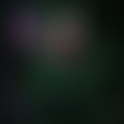 REVIEW: Dead Posey - Are You In A Cult?