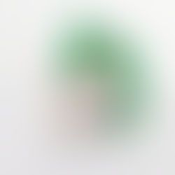 REVIEW: Maebe - Brain Paint