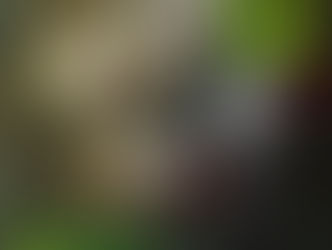 REVIEW: Malamutant - This Time It's Personal