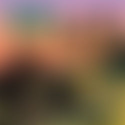 REVIEW: Haggus - Destination Extinction