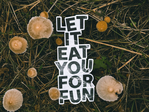 REVIEW: Let It Eat You For Fun - Upon the Forest Floor