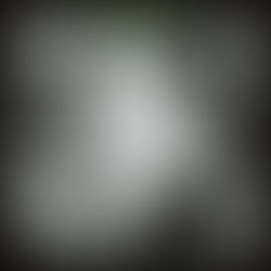 REVIEW: Anthrodynia - Unspeakable Horrors Emanating From Within