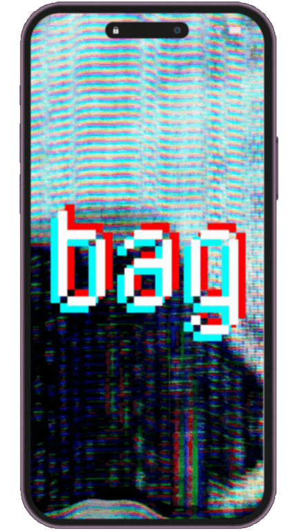 bag2.gif