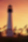 EJ Concierge Ride Private Car Service Miami