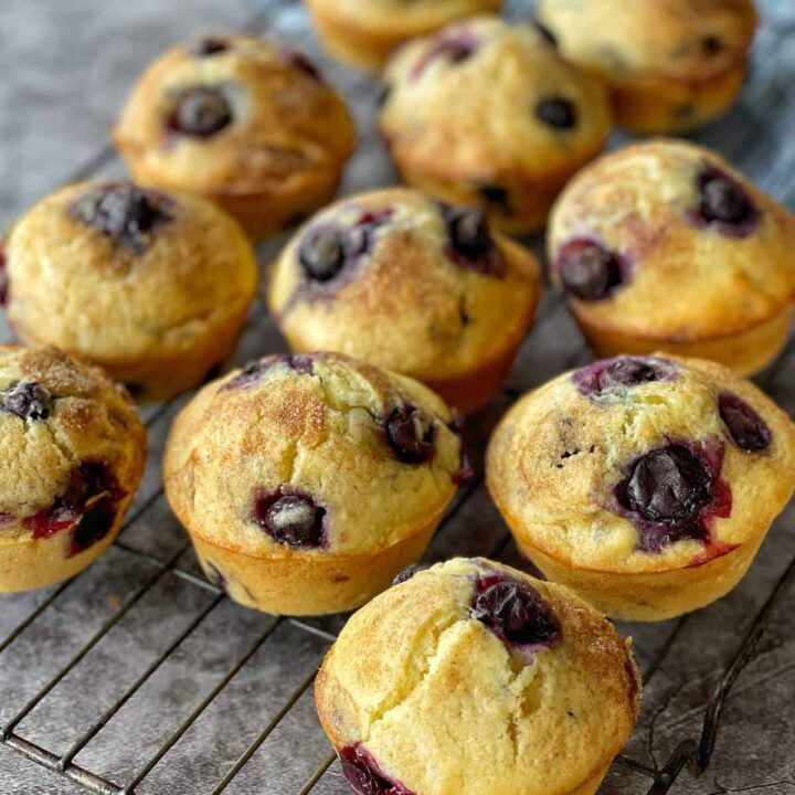 Classic blueberry muffin, soft and moist