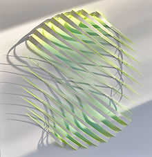 Suzanne Pratt | isiko | Paper | UNITED STATES OF AMERICA