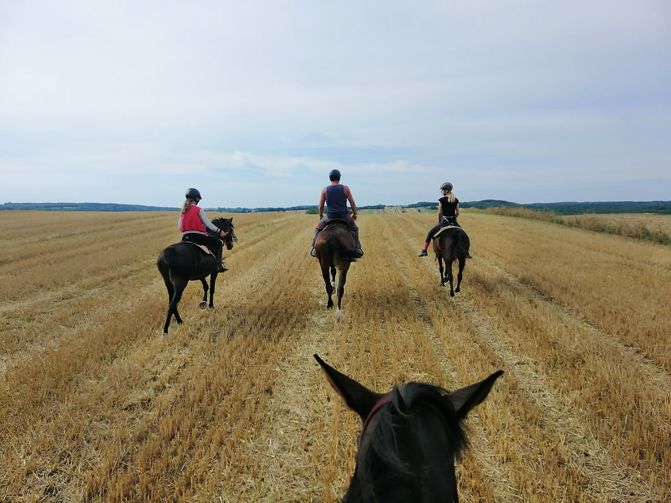 wakacje w siodle Lubelskie