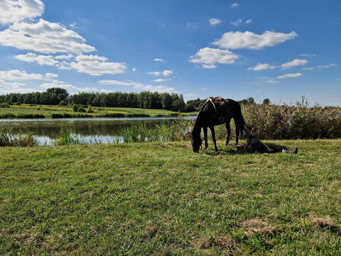 Wanderreiten Sternritte Tagesritte Reiturlaub Reiterferien rajdy konne Lubelskie horseback riding