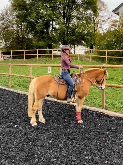Natural Horsemanship Lubelskie
Jeździectwo naturalne
trening koni Lubelskie