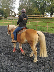 Natural Horsemanship Lubelskie
Jeździectwo naturalne