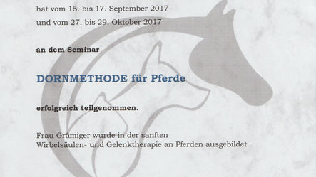 terapia koni chiropraktyka Lubelskie